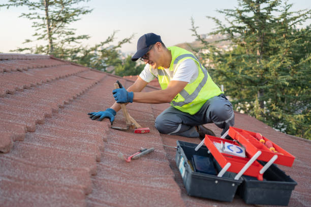 Best Storm Damage Roof Repair  in Dunmore, PA